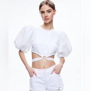 COLETTE TIE PUFF SLEEVE CROP TOP size 0